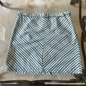 Ann Taylor Loft skirt